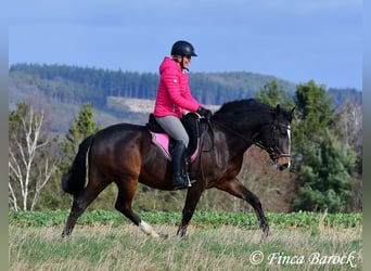 Trainer (m/f) wanted in Wiebelsheim