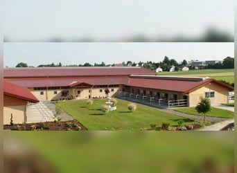 Equine Specialist, Horse Caretaker, or Career Switcher Wanted