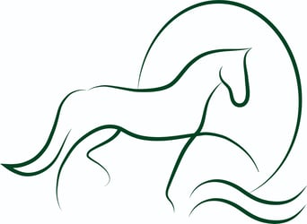 Stable worker / Groom wanted for a small private sport horse stable (mini-job / part-time)