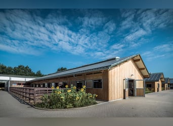 We are looking for a stable worker to join our team.