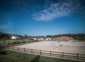 We are looking for a stable worker to join our team.