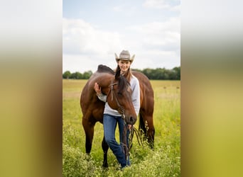 Internship position available immediately