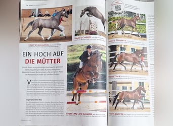 Looking for young horse riders