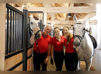 Trainer and/or Riding Instructor (m/f/d) Overview Applications Channels Statistics Application Form 