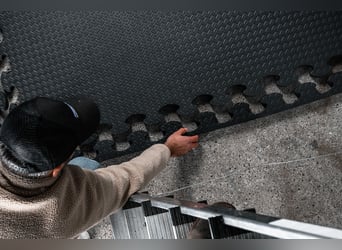 Selbstständige/r Vertriebspartner/in im Reitsport - 100% remote - Home Office - Quereinsteiger