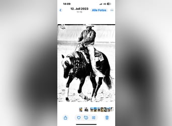 Western Training & Western Lessons