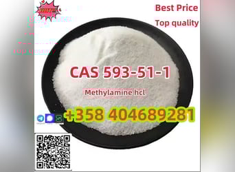 Buy High Quality CAS 593-51-1 Methylamine Hydrochloride at Best Price   