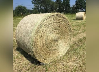 🌾 Round Baled Hay