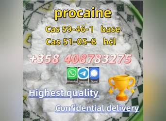 Order Procaine Cas59-46-1 Procaine Base Online Holland