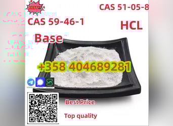 Order Procaine Cas59-46-1 Procaine Base Online Holland