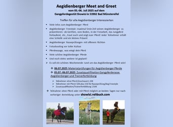 5.-6. Juli Aegidienberger Pferde kennen lernen