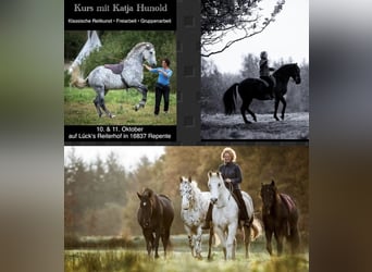 Classical/Academic Dressage, Liberty Work, and Group Exercises with Katja Hunold