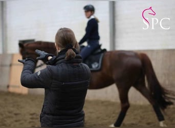 Dressage Clinic & Information Day * RuF Estetal e.V. / Hollenstedt
