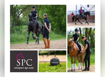 Dressage Clinics * Dressage Training * Levels E to S * Dates in 2026