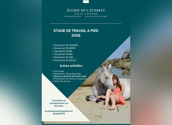 Éducation et rééducation comportementale 