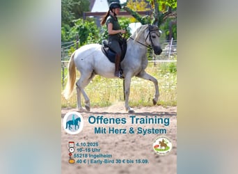 Einladung zum offenen Training für pferdegerechte Ausbildung in Ingelheim/ Rhein am 4. Oktober 25