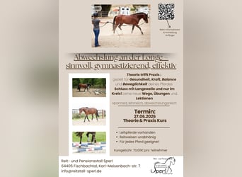 Variety in lunging – beneficial, gymnastic, and effective