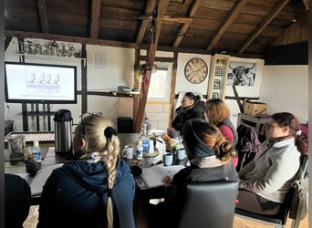 Workshop - Basiskurs - der Huf - Hufbearbeitung - Hufkurs