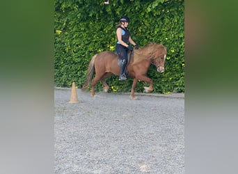 Yoga und Reiten 14 und 15. September 2024