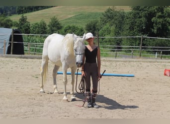 Basic Riding Lesson Course