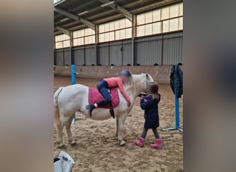 Children's birthday party at the riding stables