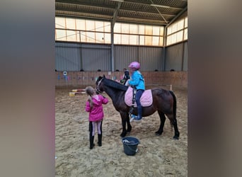 Children's birthday party at the riding stables