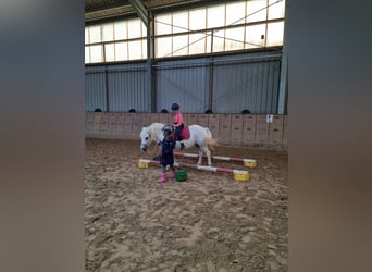 Children's birthday party at the riding stables