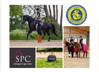 * Dressage lessons from E to S class * Training days * Seat training * EM movement training * Neuroa
