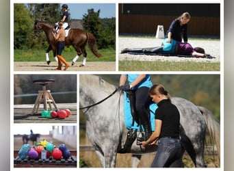 EM Movement Training / Seat Training by Eckart Meyners – the Original!