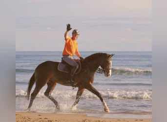 Learn to ride at the highest level – in the same place where others go on vacation.