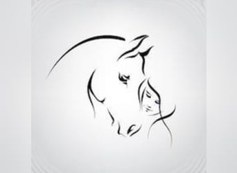 Mobile Reitstunden&Beritt 