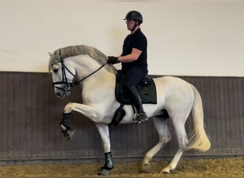 Online riding lessons