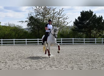 Online riding lessons