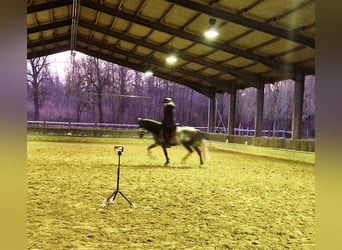 Online riding lessons