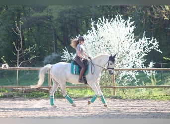 Personalized training for ambitious riders