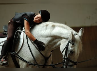 Reitunterricht für Erwachsen, Kinder und Jugendliche