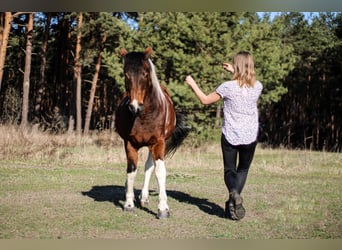 Riding lessons for adults