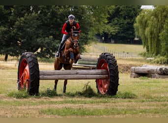 Spring Lesson – New Dates Available Now!