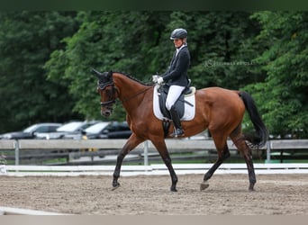 Staatlich geprüfte Reitinstruktorin
