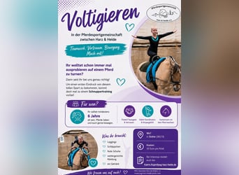 Vaulting training for beginners and advanced riders