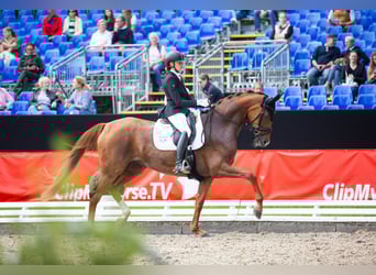 Fully ridden with heart