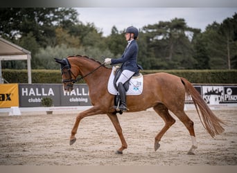 Fully ridden with heart