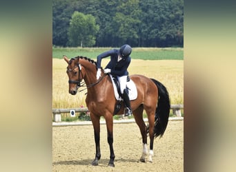 Fully ridden with heart