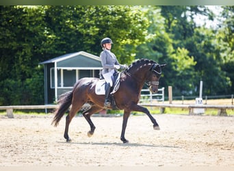 Fully ridden with heart