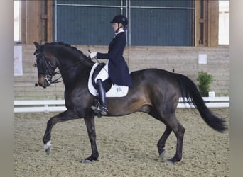 Fully ridden with heart