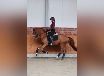 Fully ridden with heart