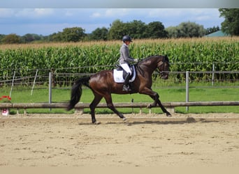 Fully ridden with heart