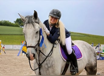 Pony training, schooling, and light rider (49 kg)