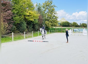 Riding lessons & training