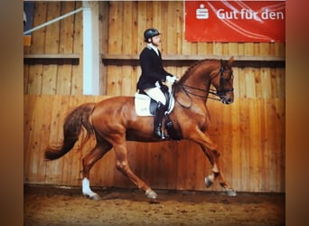 Training available in the southern Hamburg/Seevetal area